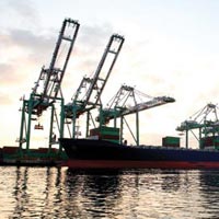 Custom Packaging Solutions