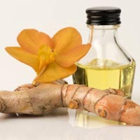 Galangal Oil