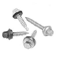 Galvanized Screw