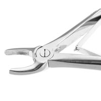 Extraction Forceps