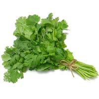 Coriander Leaves