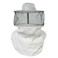 Bee Veil