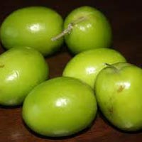 Jujube Fruit