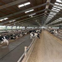 Dairy Farm Sheds