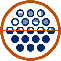 Data Quality Solutions