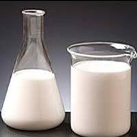 Protein Binder