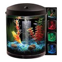 Aquarium Tank