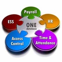 Services Management Consulting