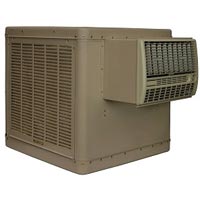 Cooler Maintenance Service