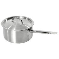 Stainless Steel Saucepan