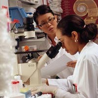 Refractive Surgery Services