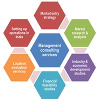 Market Evaluation Services
