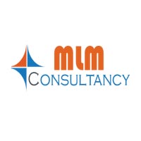 MLM IT Consultancy
