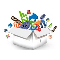 Open Source Software Development Service