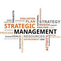Strategic Management Services