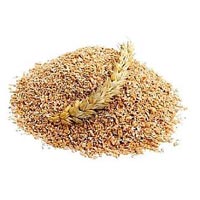 Wheat Bran
