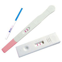 Pregnancy Test Kits