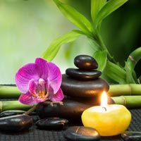 Kidney Disease Ayurvedic Treatment