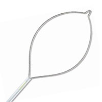 Polypectomy Snares