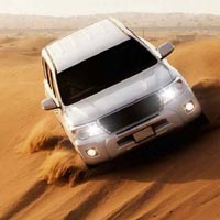 Desert Safari Tours