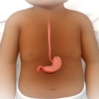 Gastrointestinal Endoscopy