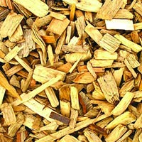 Wood Pulp