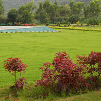 Garden Plantation Services