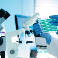 Contract Research Organization