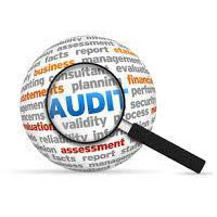 Software Auditing Service