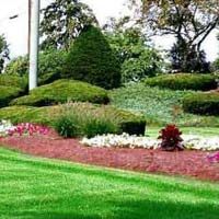 Landscape Development