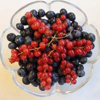 Currants