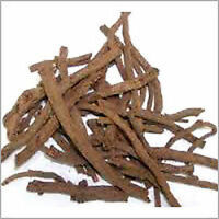 Akarkara / Anacyclus Pyrethrum