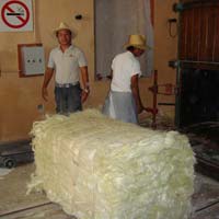 Sisal Fibre