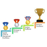 Business Excellence Consultant