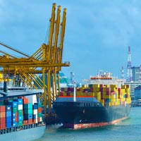 Pre Shipment Consultancy Service