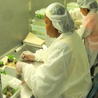 Tissue Culture Services