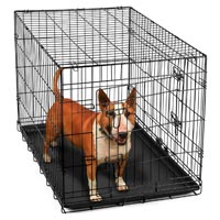 Animal Kennel