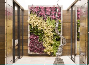 Vertical Gardening Services