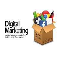 Mobile Marketing Service
