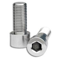 Stainless Steel Allen Bolts