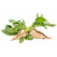 Beet Sugar