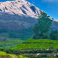 Mountain Tour Package