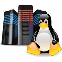 Linux Reseller Hosting
