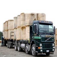 Interstate Transportation Services