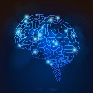 Psychometric Testing Services