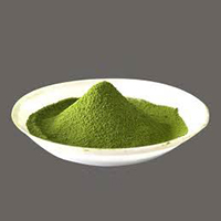 Green Tea Leaves Powder