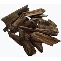 Agarwood