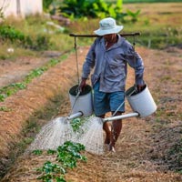 Agricultural Finance