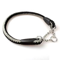 Dog Training Collars