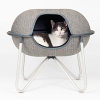 PET Cat Bed